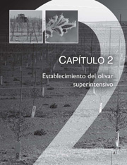 La revolución del olivar: Capitulo 2